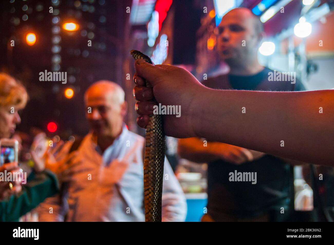 Meet and greet with a watersnake on the UnTour Night Eats Tour outside a restaurant on Shouning Road in Shanghai Stock Photo