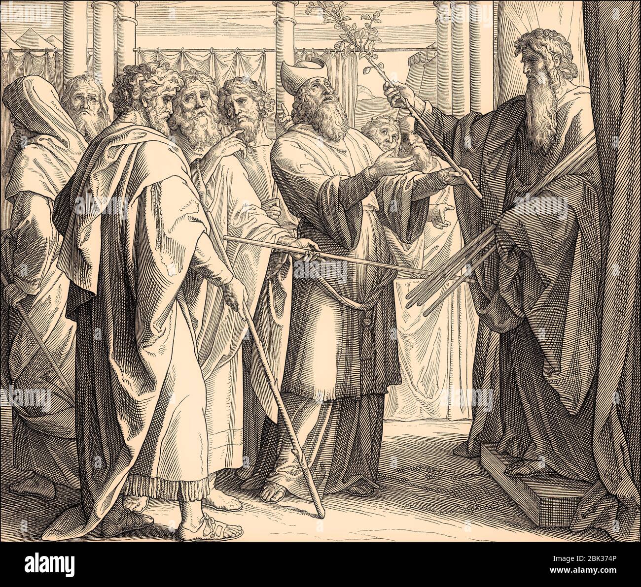 The Blossoming of Aaron's Rod, Old Testament, by Julius Schnorr von Carolsfeld, 1860 Stock Photo