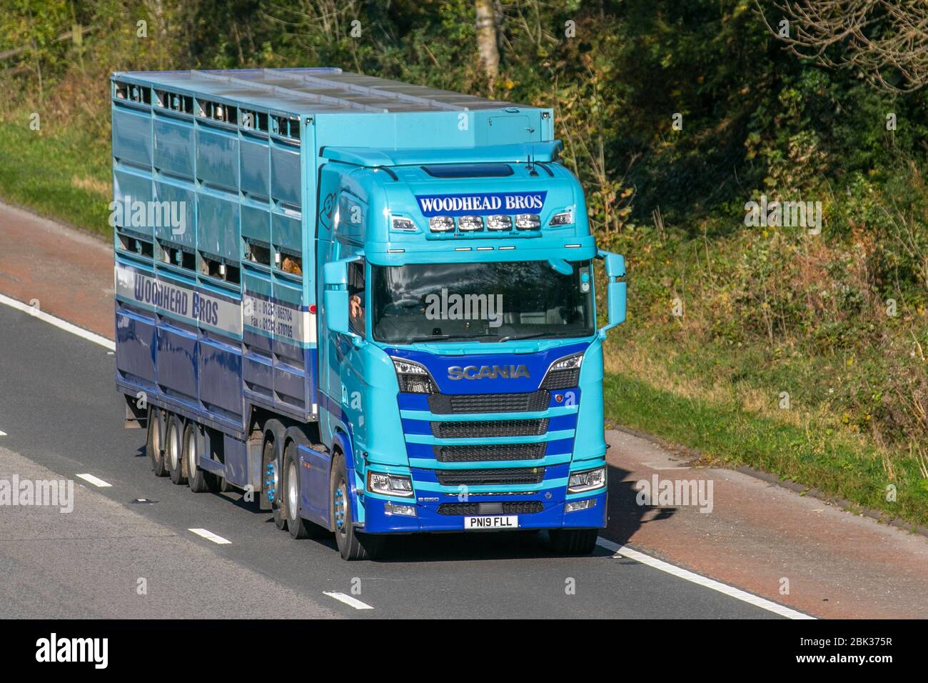 Woodhead Bros. British meat industry livestock and general haulage