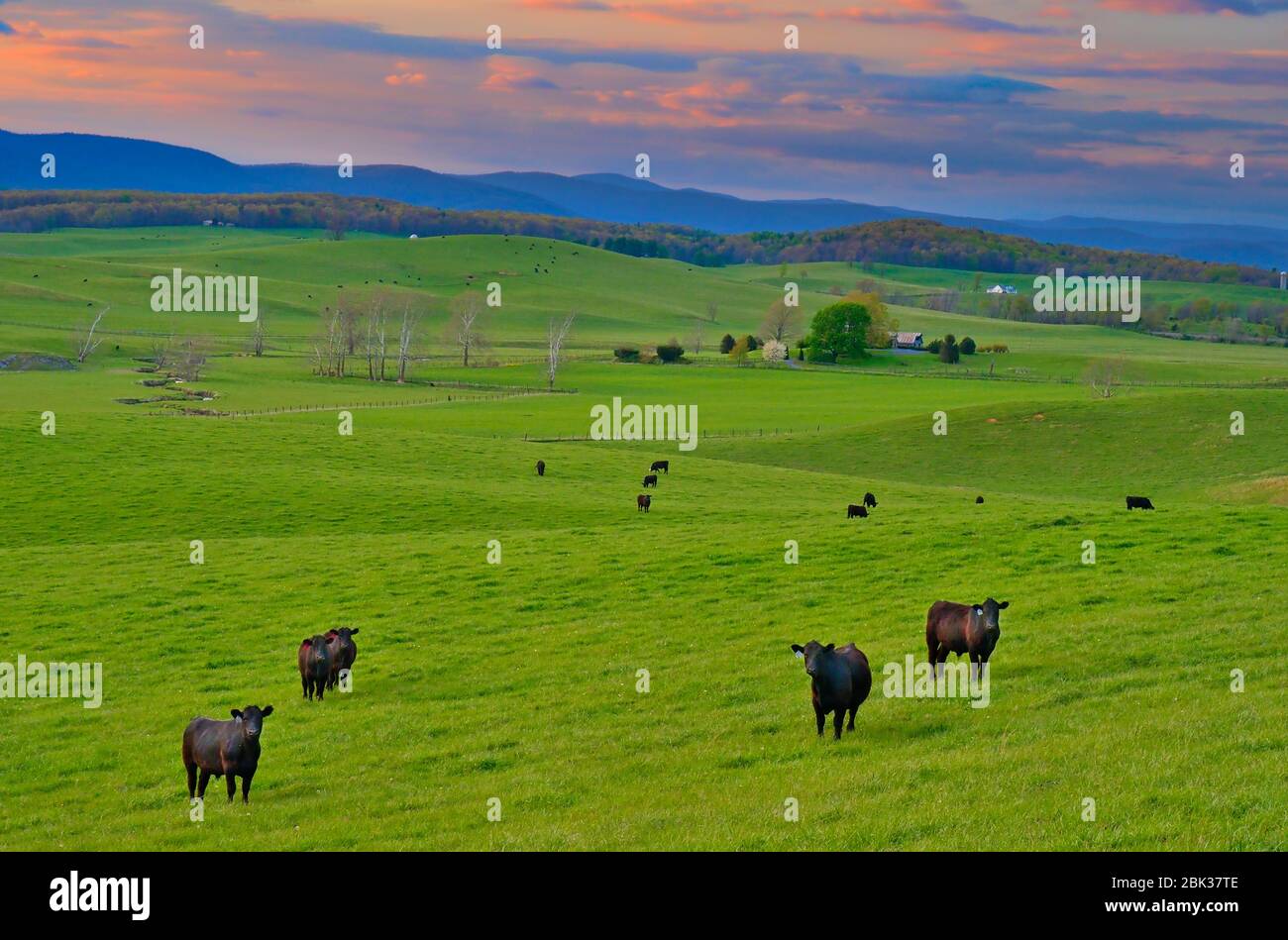 Farm in Swoope, Shenandoah, Valley, Virginia, USA Stock Photo