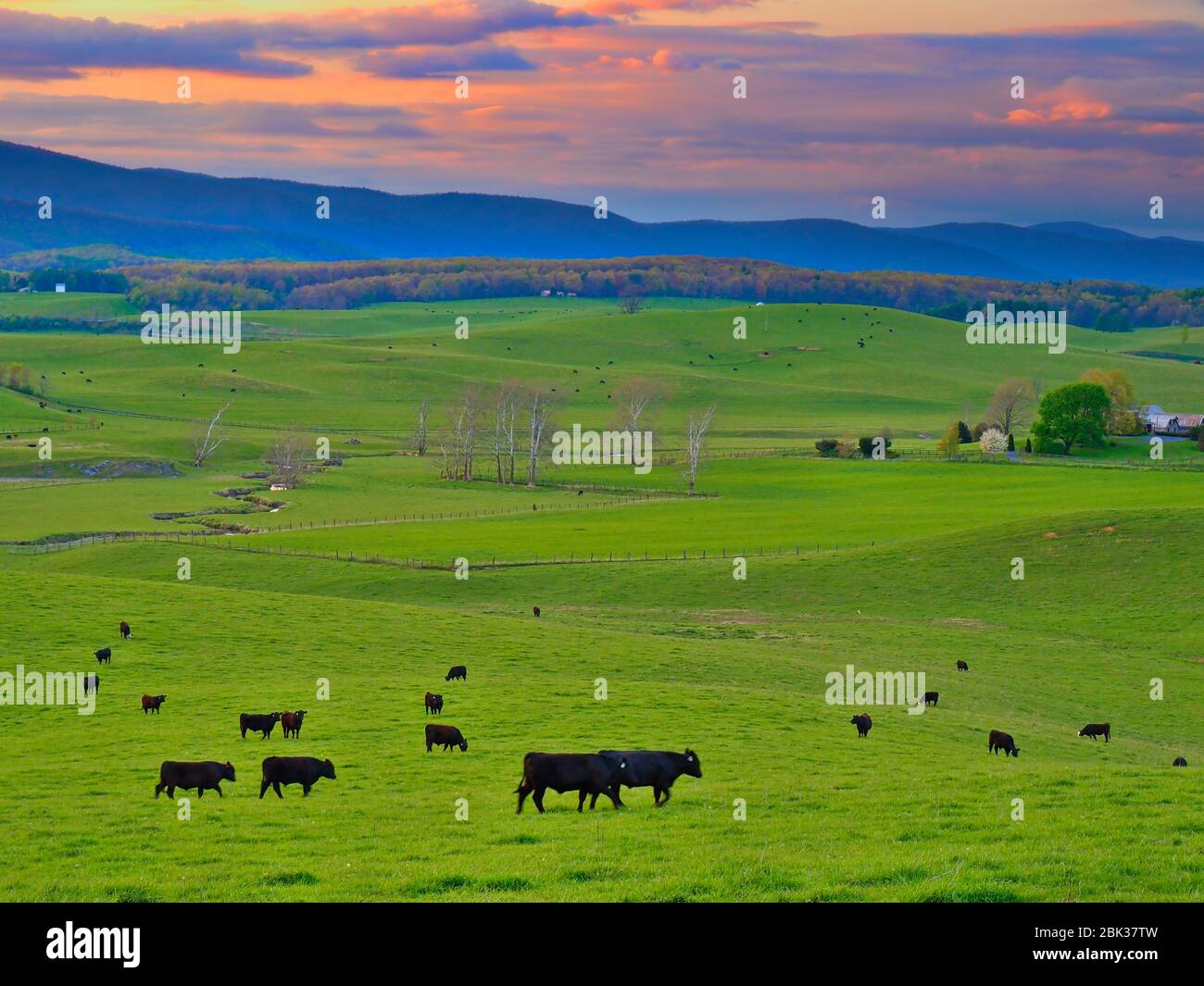 Farm in Swoope, Shenandoah, Valley, Virginia, USA Stock Photo