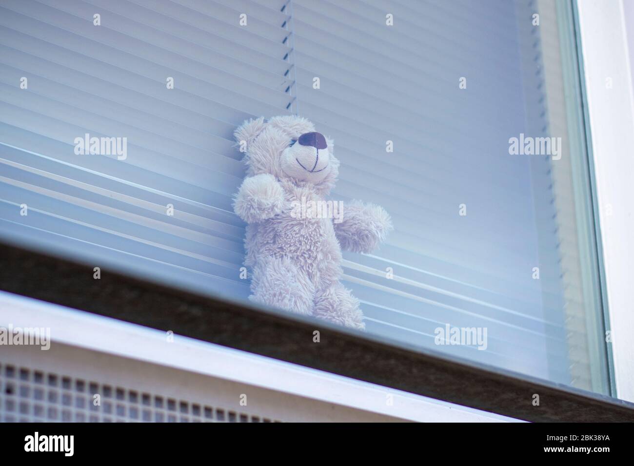 Teddy bear in window for children to 'bear hunt' during the coronavirus covid19.. Stuffed toys in windows to give children a fun and safe activity Stock Photo