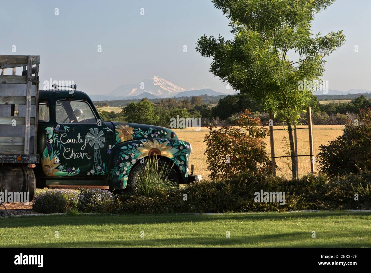 Decorated Classic 1950 Chevrolet Stake Bed Truck, view of  Mount Shasta. Stock Photo