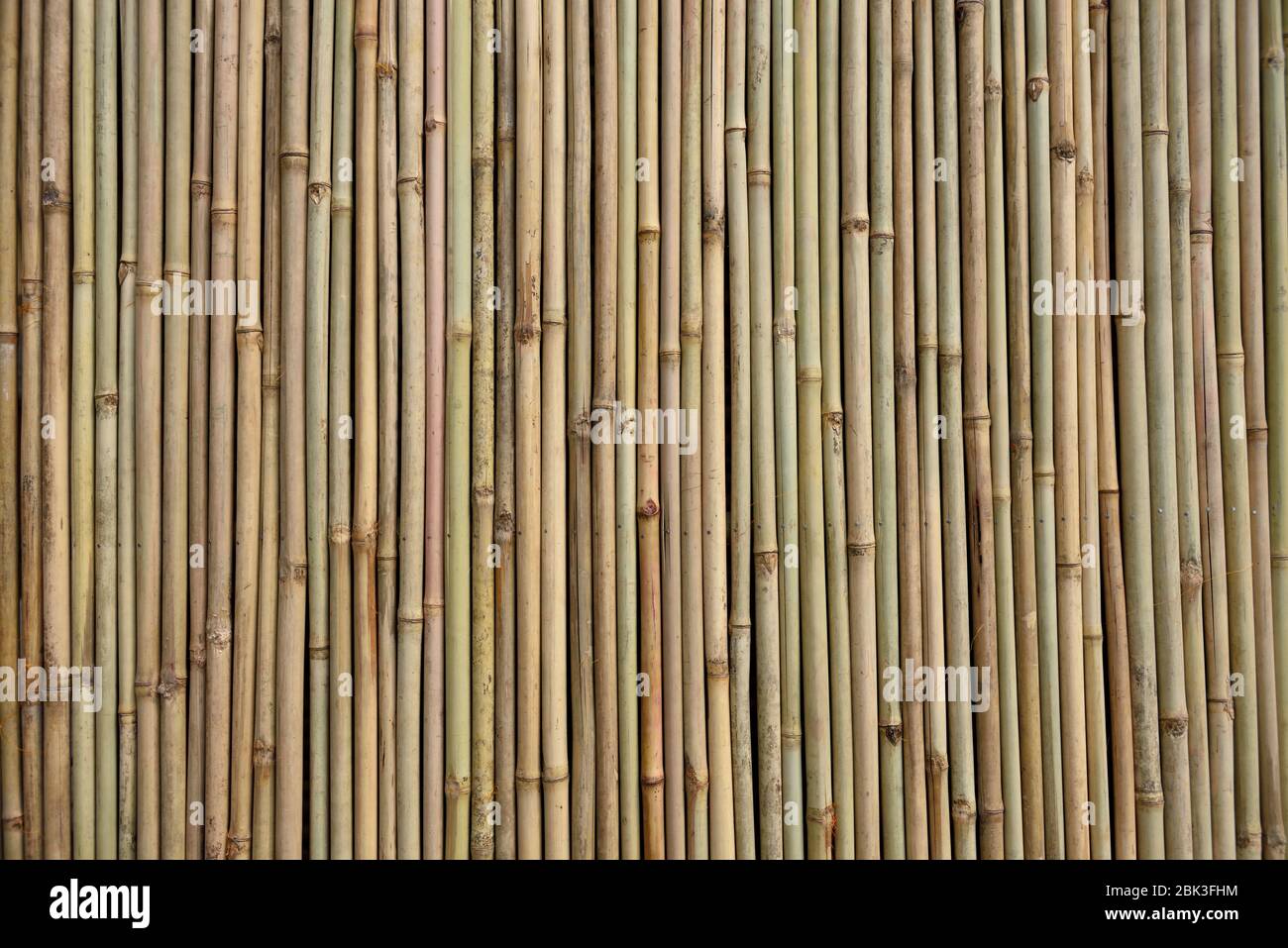 Bamboo Wallpaper High Resolution Stock Photography and Images Alamy