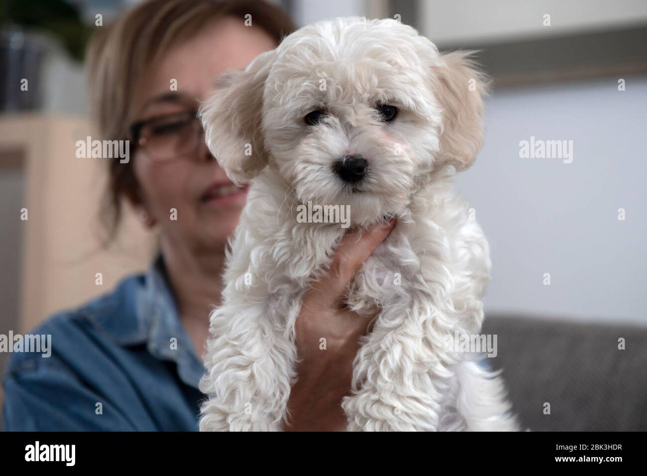 Woman holding puppy Stock Photo