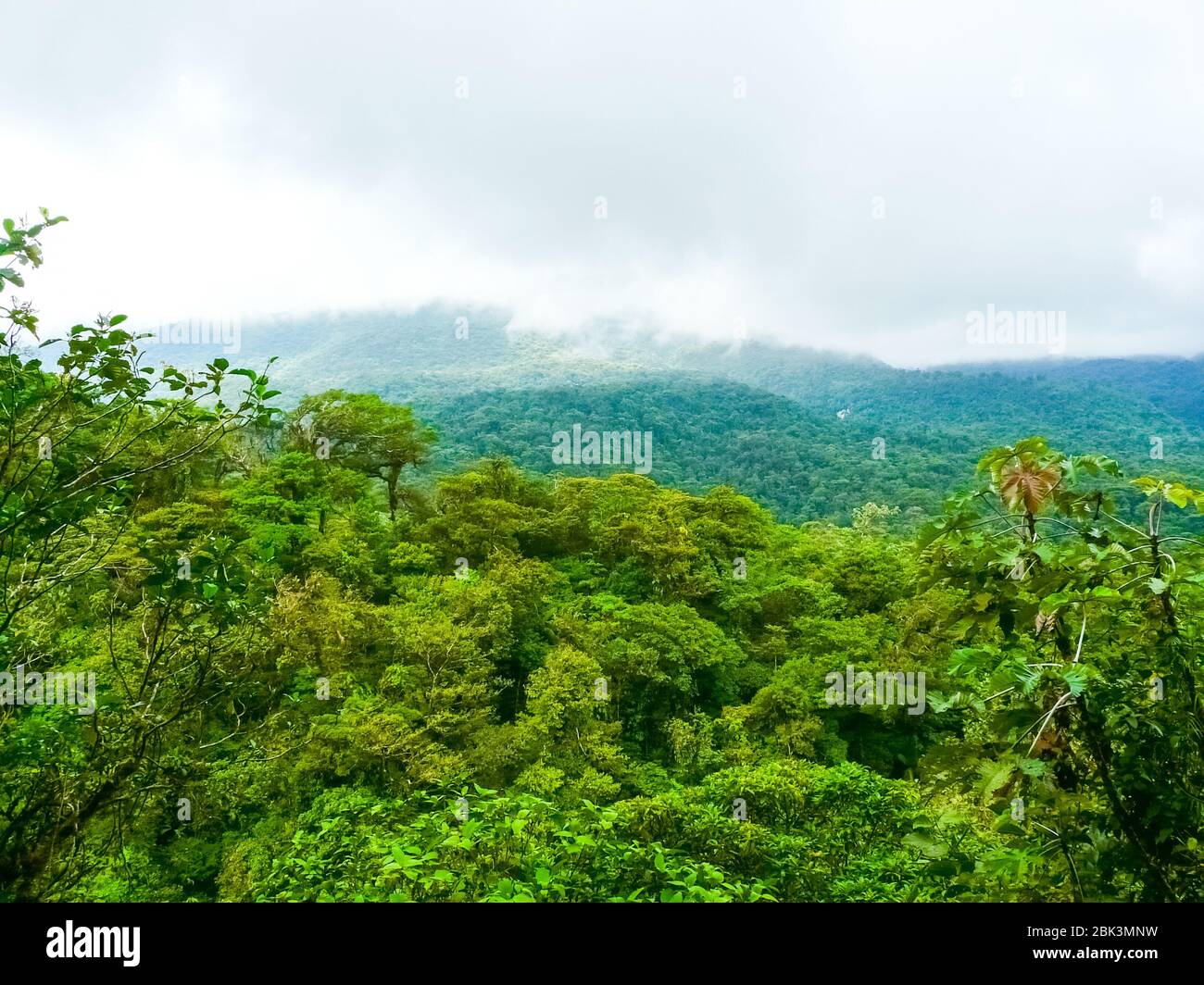 Tenorio volcano national park, Costa Rica Stock Photo - Alamy