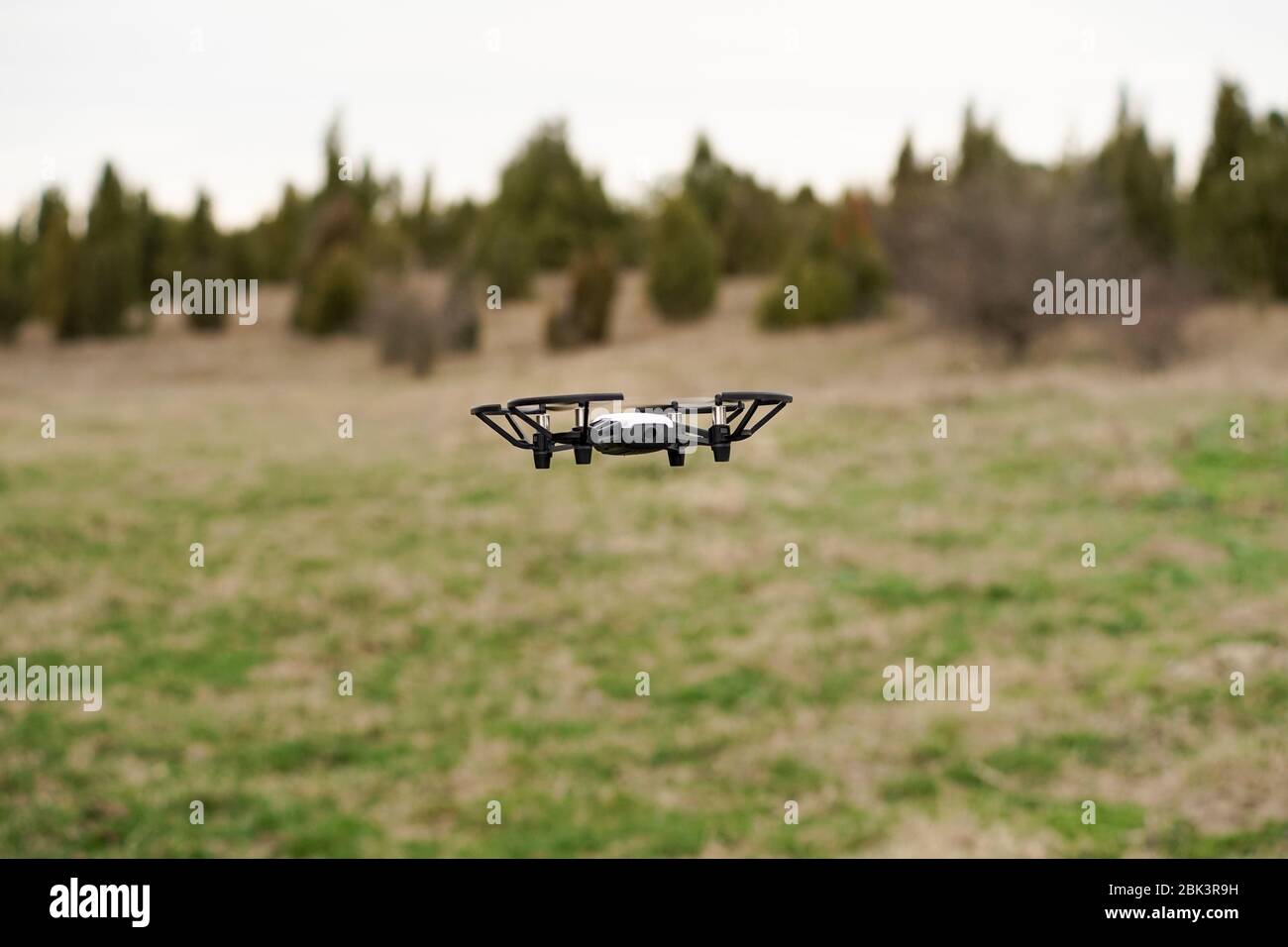 Drone camera in forest. Stock Photo