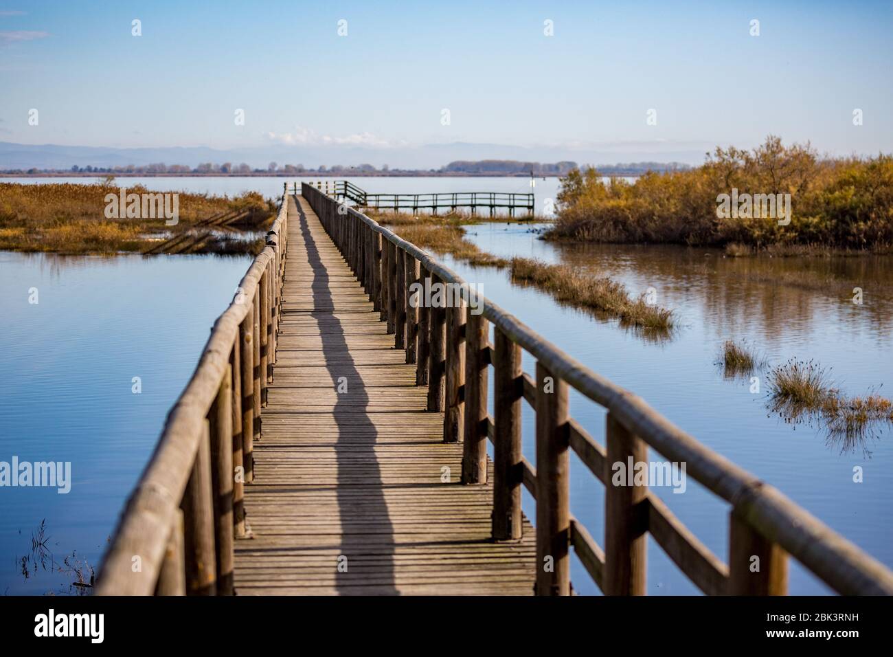 Wooden deck constructed for water transportation and birdwatching at the protected areas of lake Vistonida Porto Lagos. Xanthi region, Northern Greece. Selective shallow focus image Stock Photo