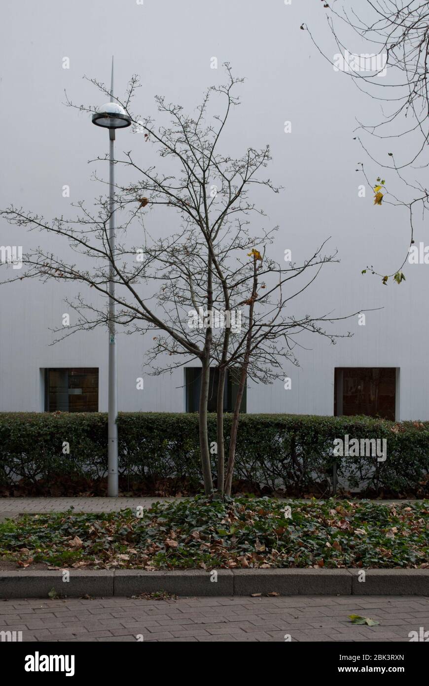Curved White Sails Fins Modern Architecture of Hammersmith Surgery, 1