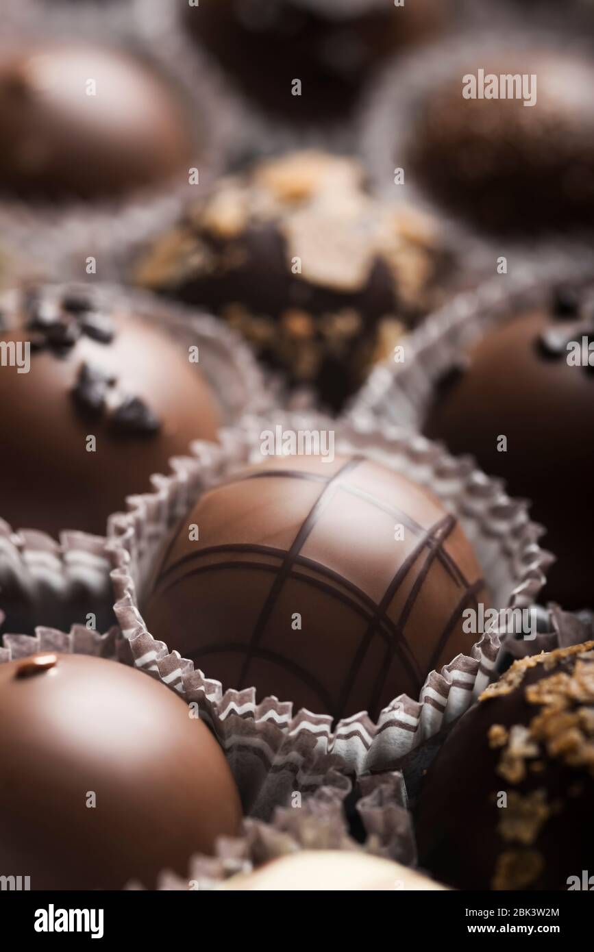 mixed-luxury-dark-and-milk-chocolate-truffles-assorted-delicious