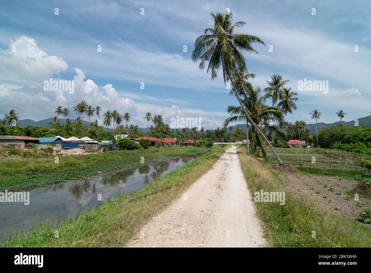 Green scene at rural path at Balik Pulau, Penang. Stock Photo