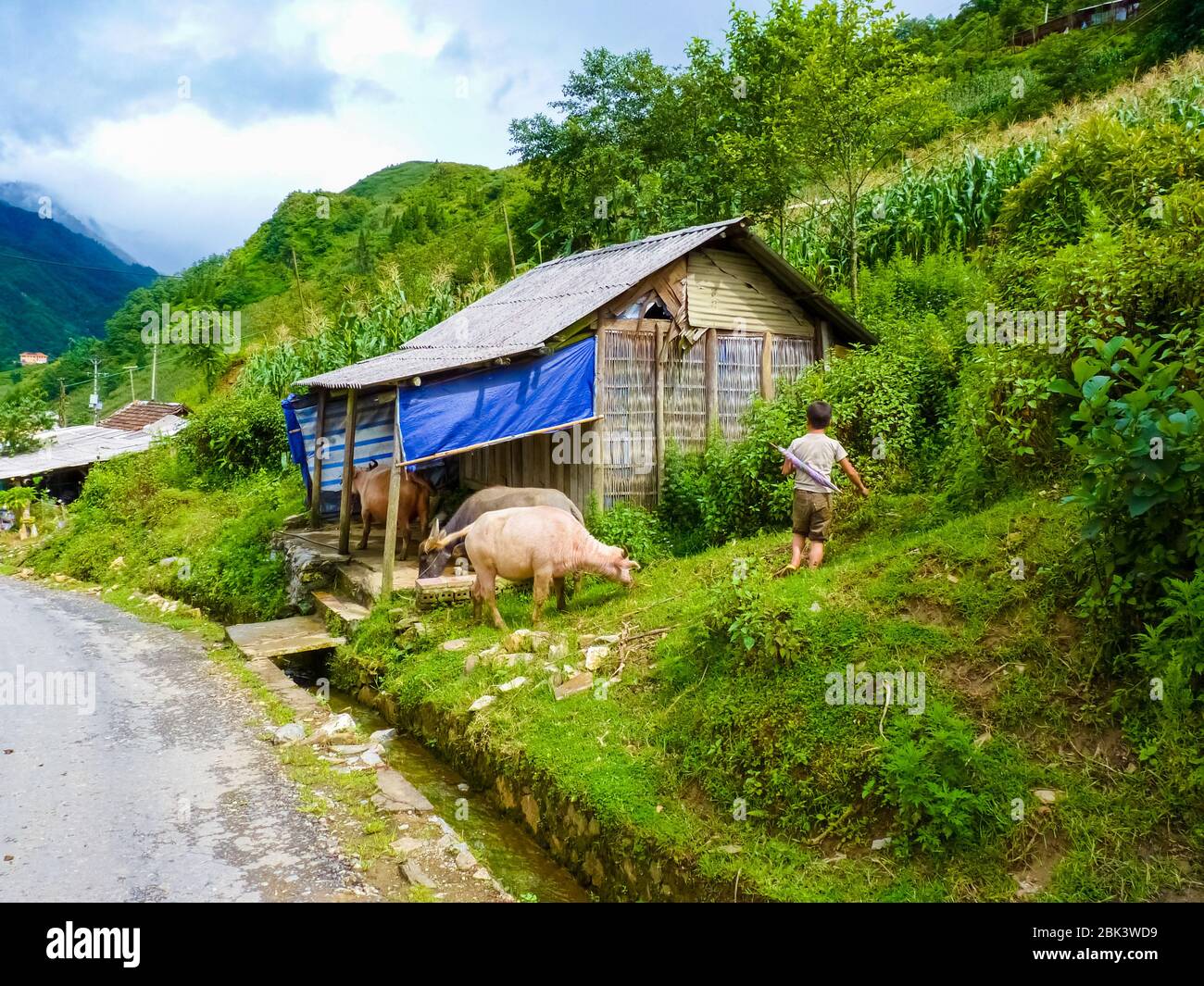 Sapa (Chapa) village in north mountains of Vietnam, Lào Cai, Vietnam ...