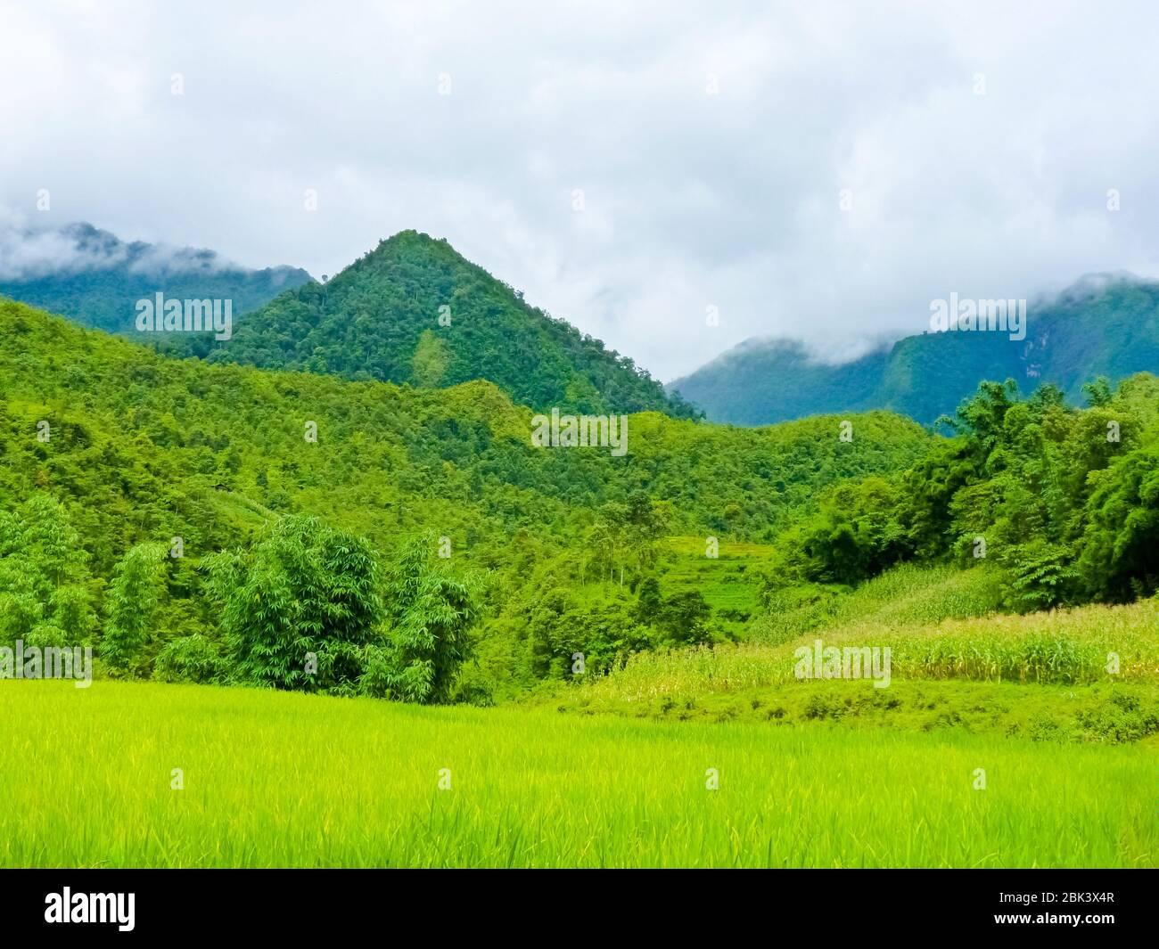 Catcat Hmong village near Sapa (Chapa) in north mountains of Vietnam ...