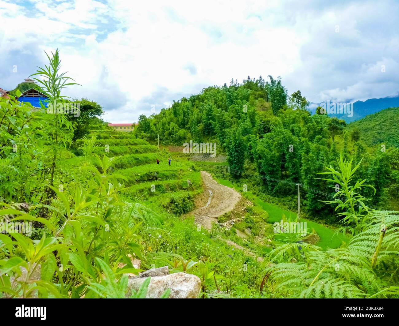Catcat Hmong village near Sapa (Chapa) in north mountains of Vietnam ...