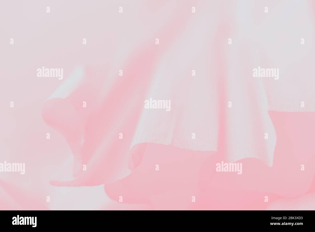 Pink gradient abstract background. Soft paper delicate background Stock Photo