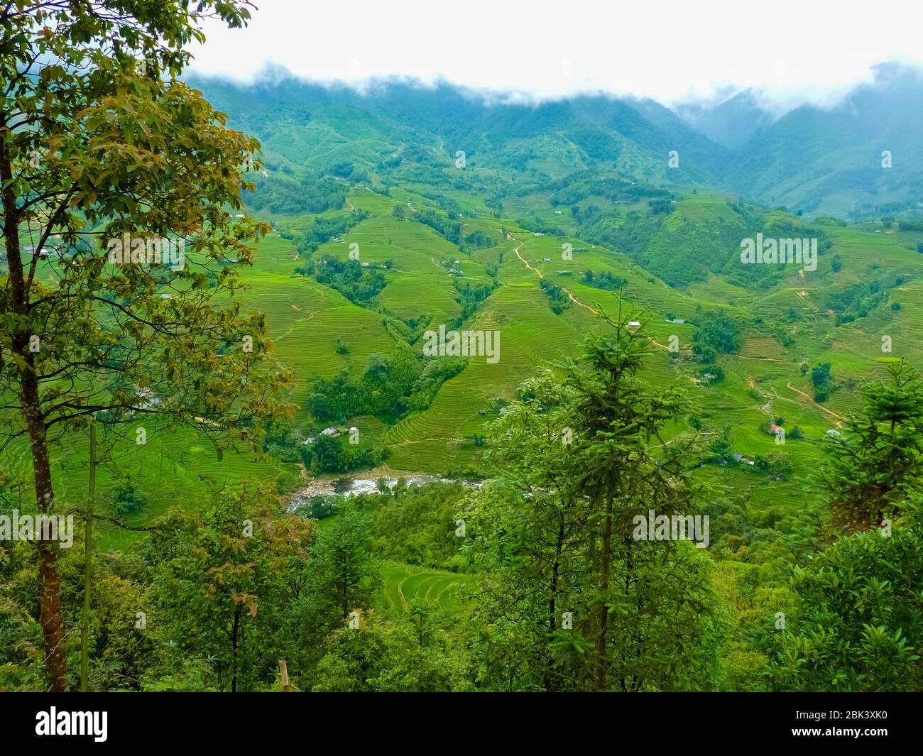 Lào Cai rice fields near Sapa (Chapa) in north mountains of Vietnam ...