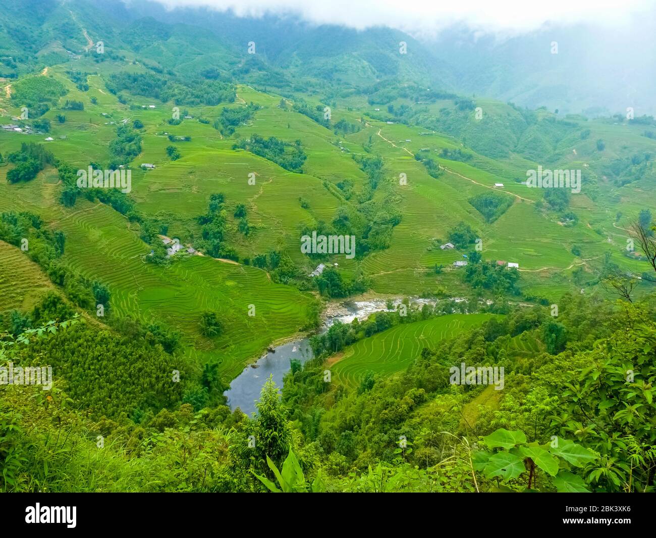 Lào Cai rice fields near Sapa (Chapa) in north mountains of Vietnam ...
