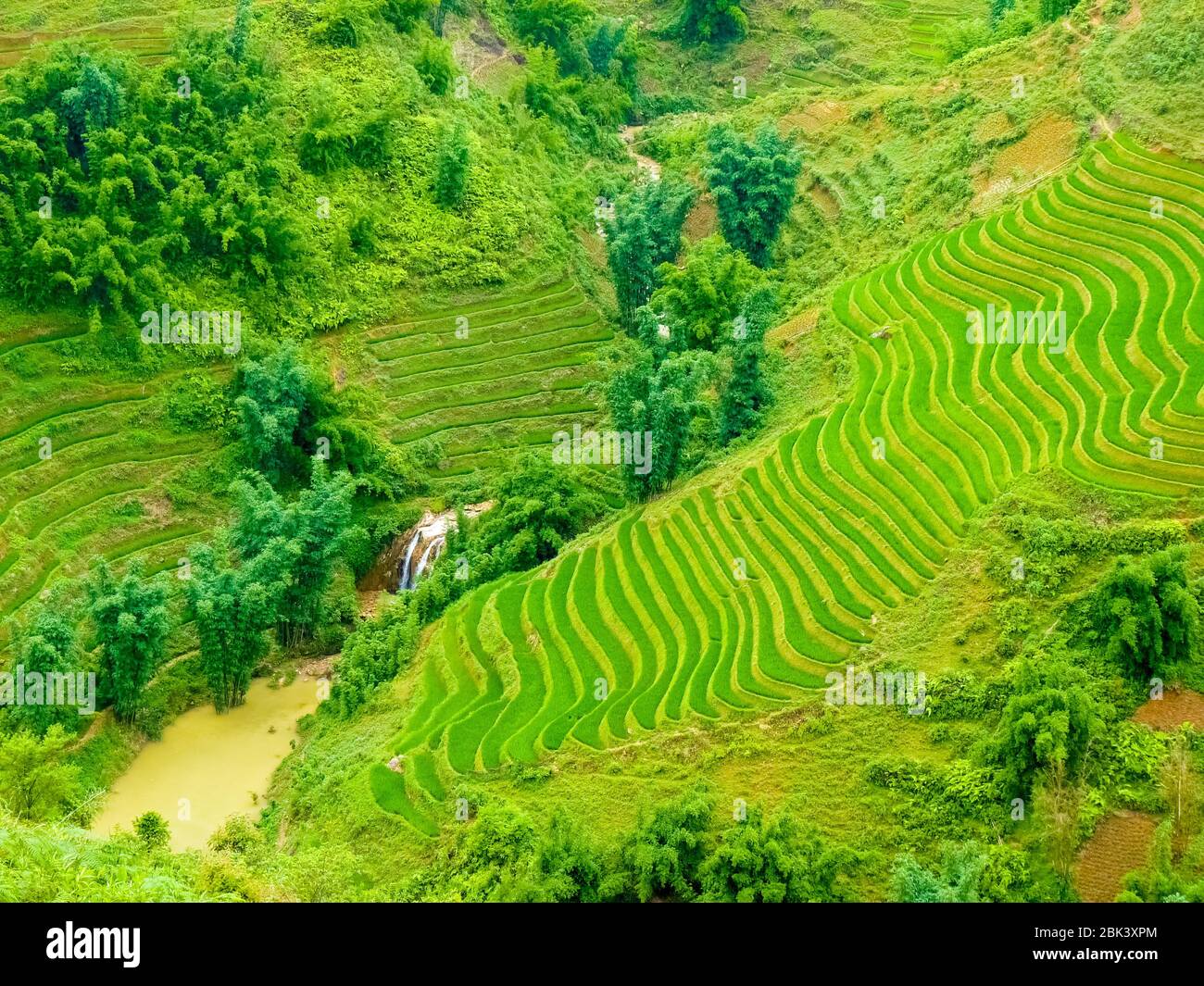 Lào Cai rice fields near Sapa (Chapa) in north mountains of Vietnam ...