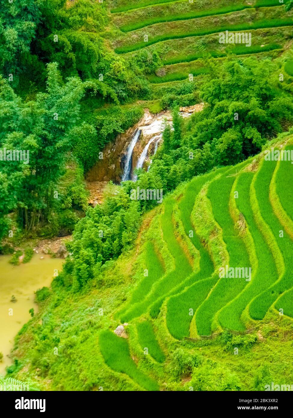Lào Cai rice fields near Sapa (Chapa) in north mountains of Vietnam ...