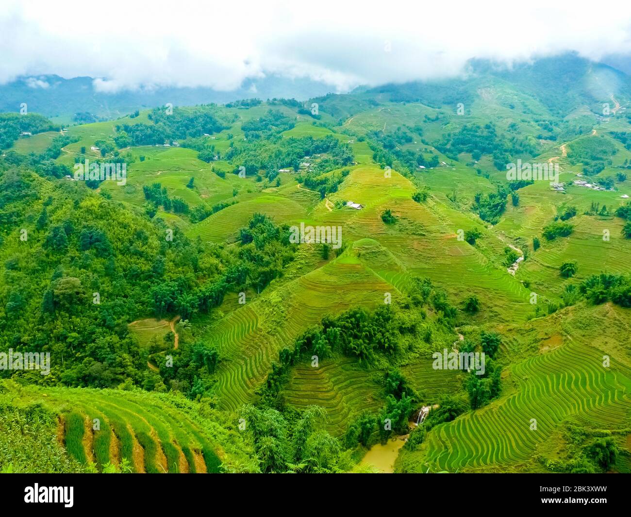 Lào Cai rice fields near Sapa (Chapa) in north mountains of Vietnam ...