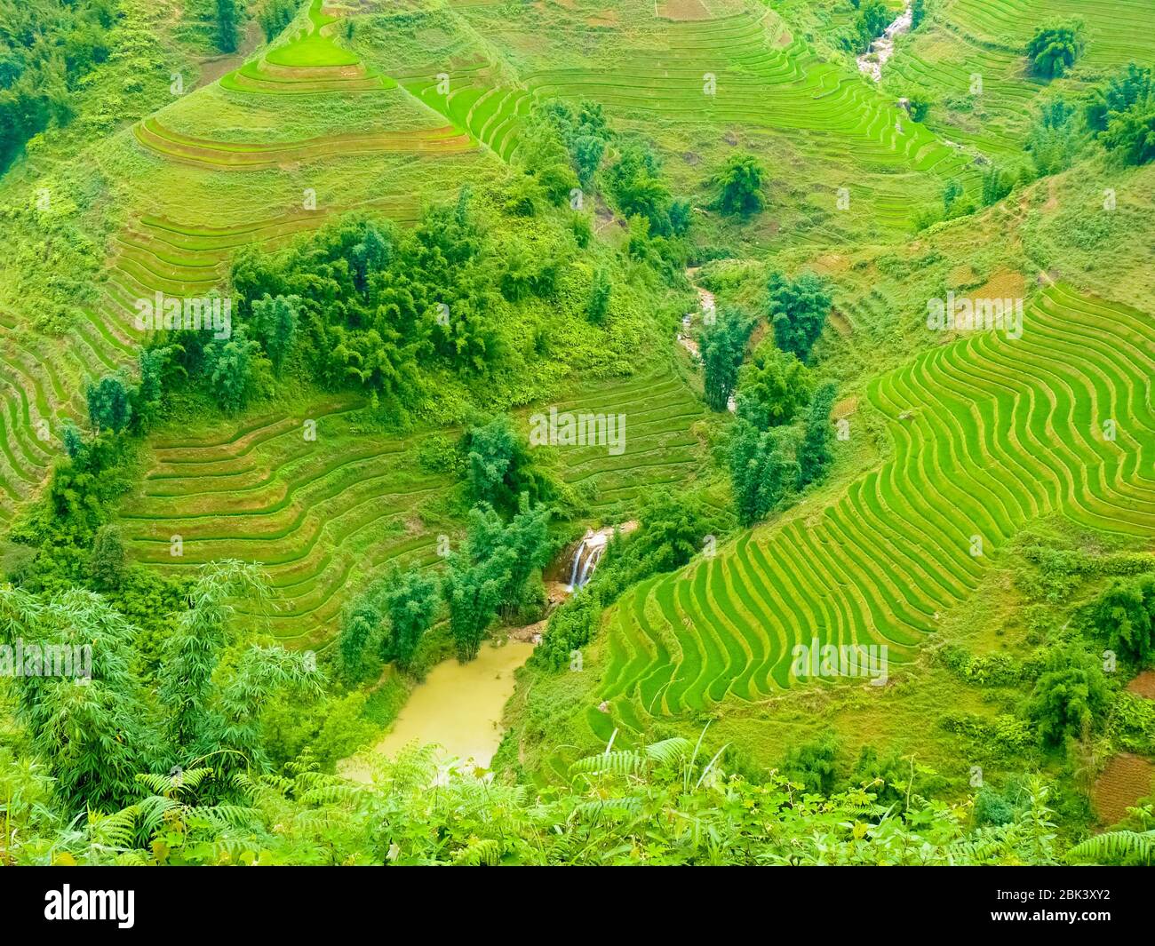 Lào Cai rice fields near Sapa (Chapa) in north mountains of Vietnam ...