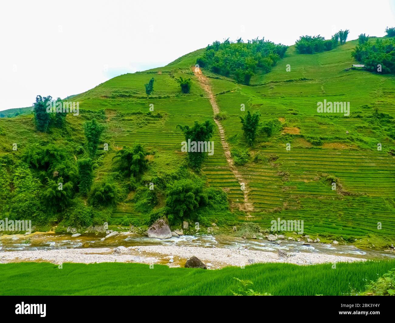 Lào Cai rice fields near Sapa (Chapa) in north mountains of Vietnam ...