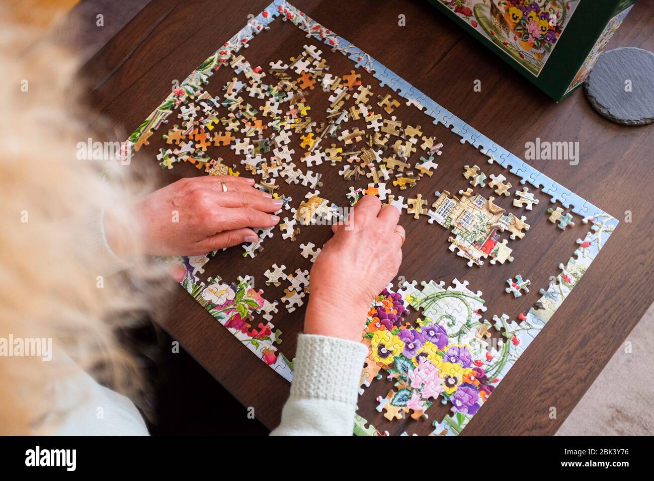 Woman At Home Doing A Jigsaw Puzzle During Coronavirus Lockdown In The Uk Jigsaw Puzzles Are Believed To Help With Mental Health Capacity And Memory Stock Photo Alamy