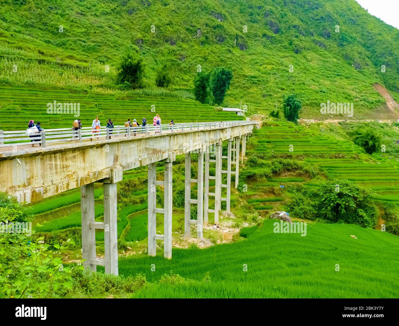 Lào Cai rice fields near Sapa (Chapa) in north mountains of Vietnam ...