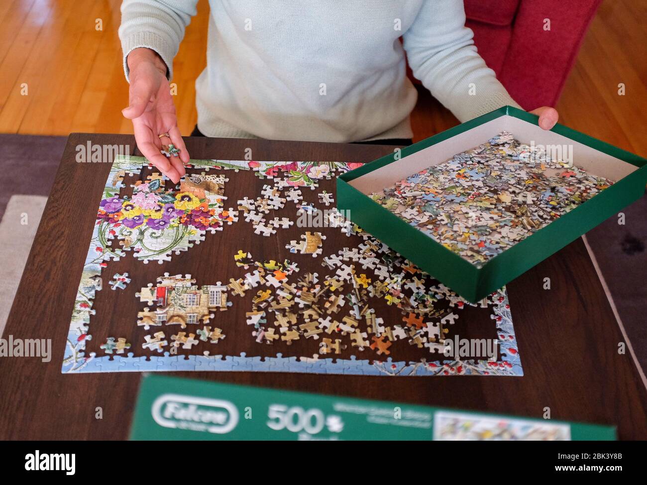 Woman at home doing a jigsaw puzzle during coronavirus lockdown in the UK . Jigsaw puzzles are believed to help with mental health capacity and memory Stock Photo