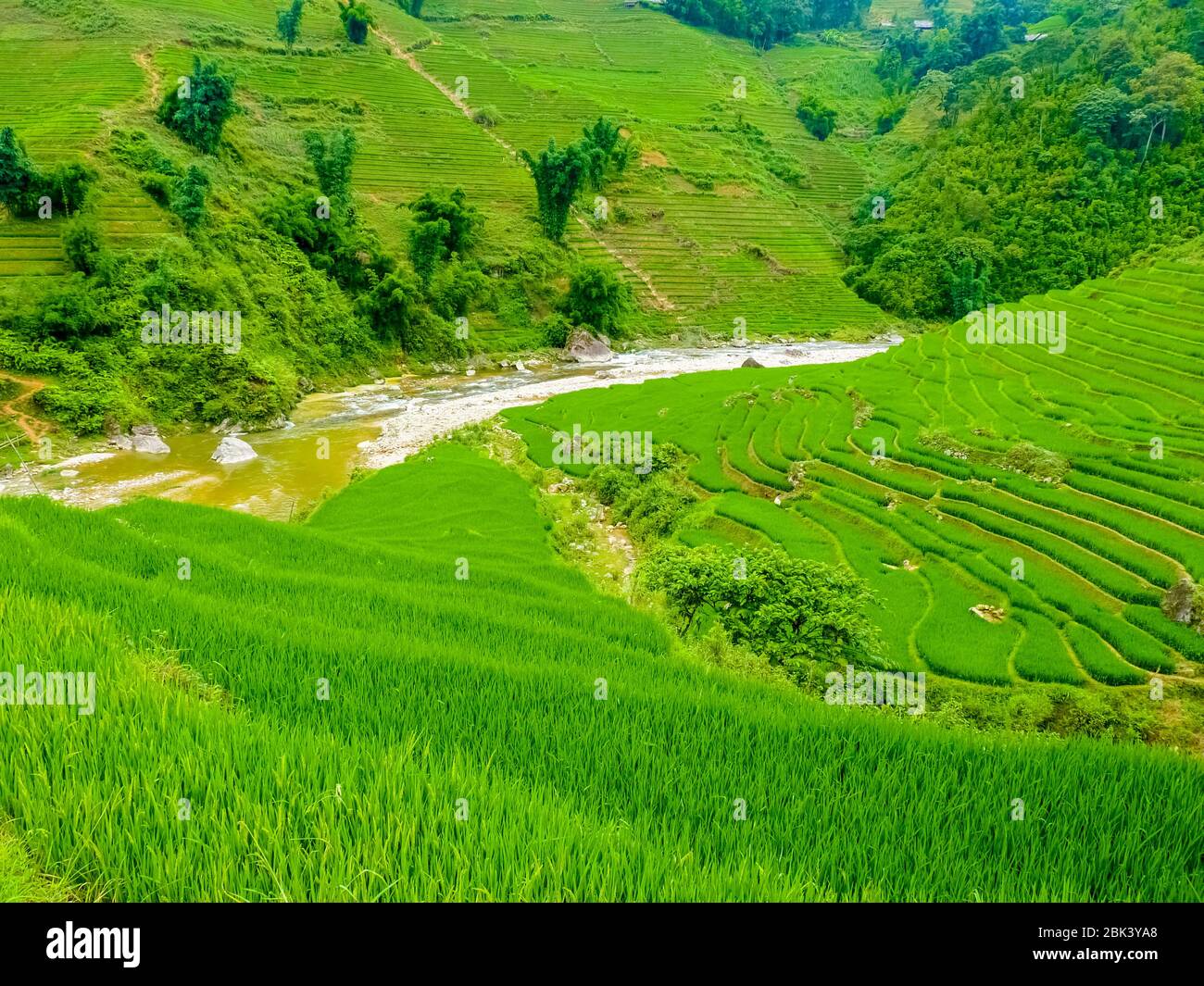 Lào Cai rice fields near Sapa (Chapa) in north mountains of Vietnam ...