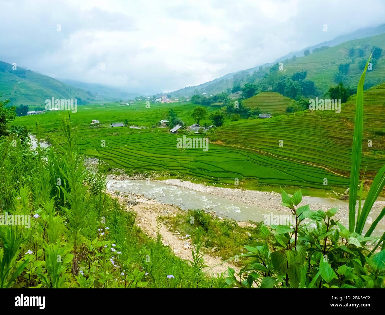 Lào Cai rice fields near Sapa (Chapa) in north mountains of Vietnam ...