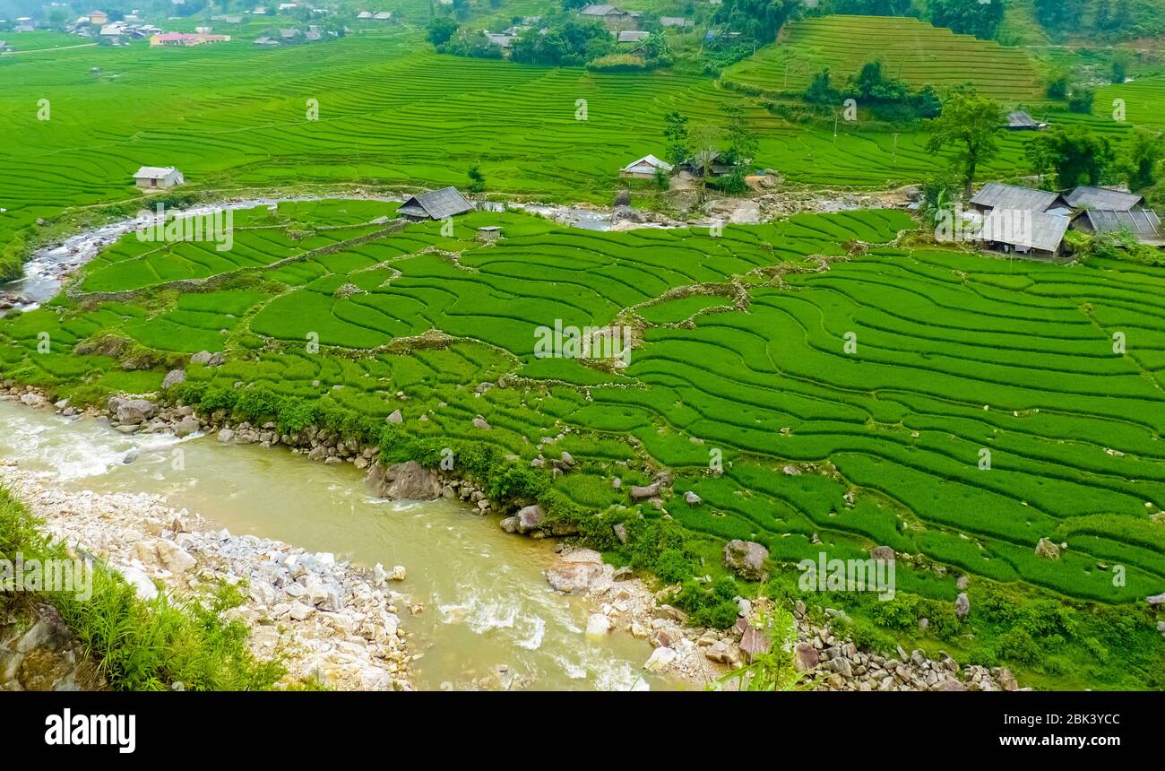 Lào Cai rice fields near Sapa (Chapa) in north mountains of Vietnam ...