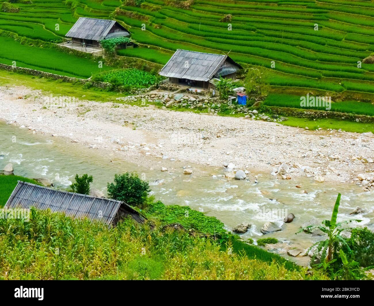 Lào Cai rice fields near Sapa (Chapa) in north mountains of Vietnam ...