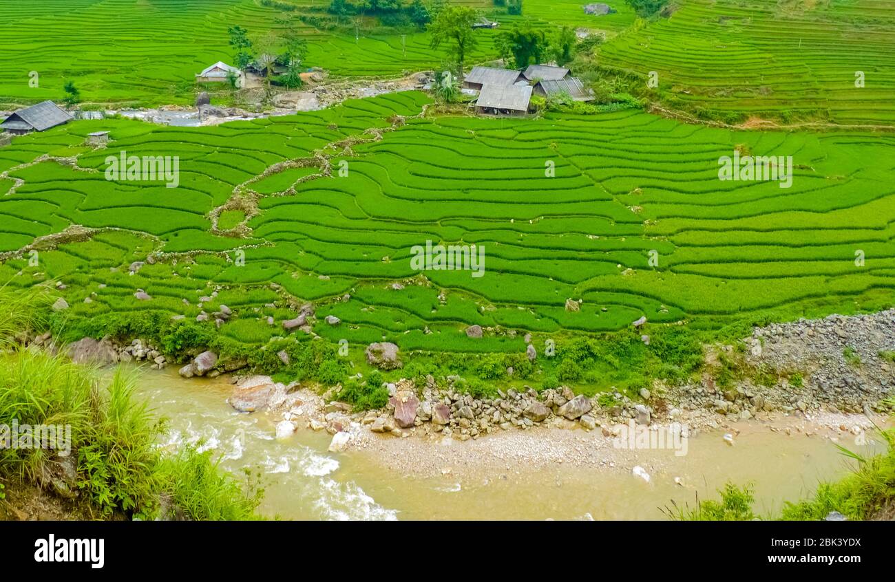 Lào Cai rice fields near Sapa (Chapa) in north mountains of Vietnam ...