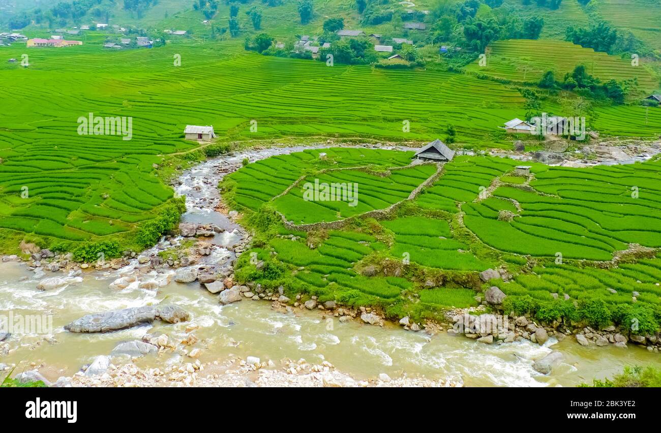 Lào Cai rice fields near Sapa (Chapa) in north mountains of Vietnam ...
