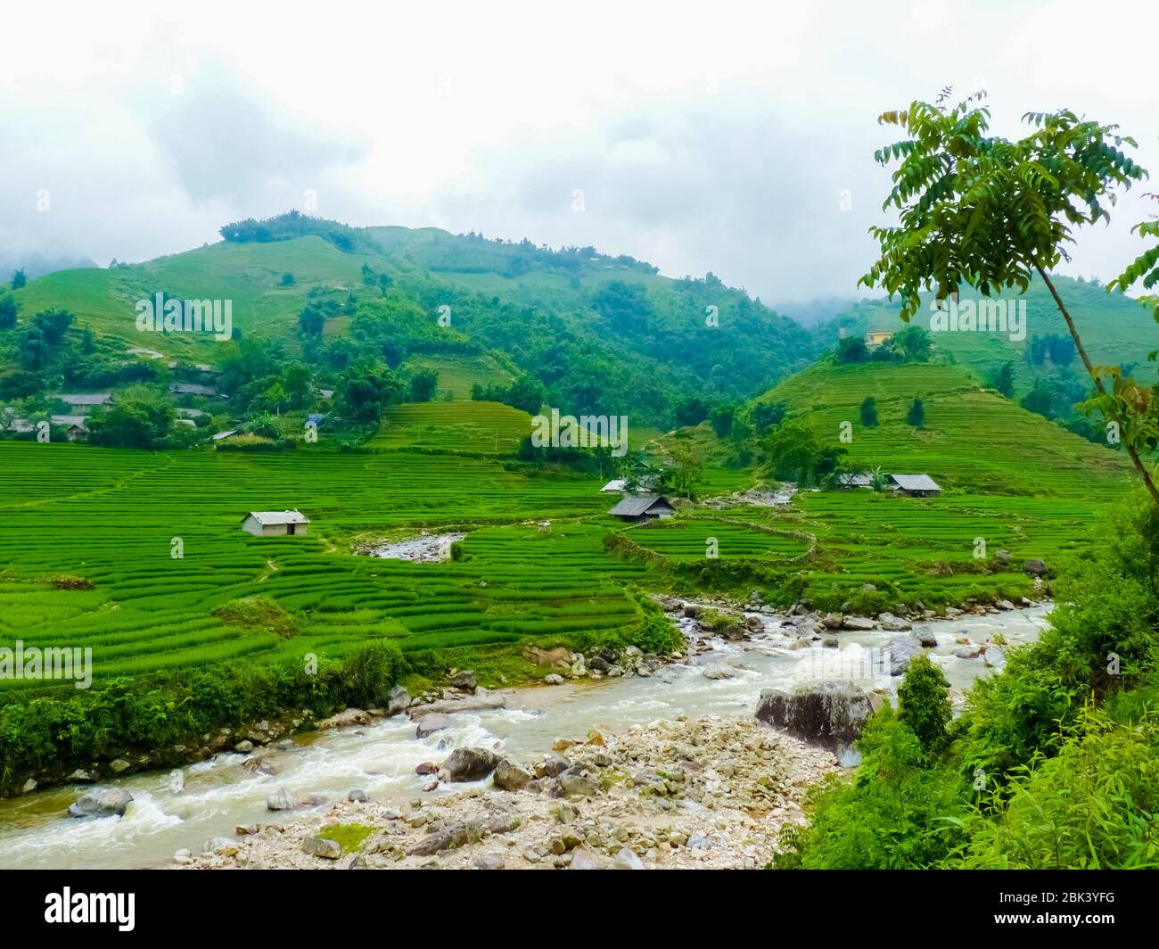Lào Cai rice fields near Sapa (Chapa) in north mountains of Vietnam ...