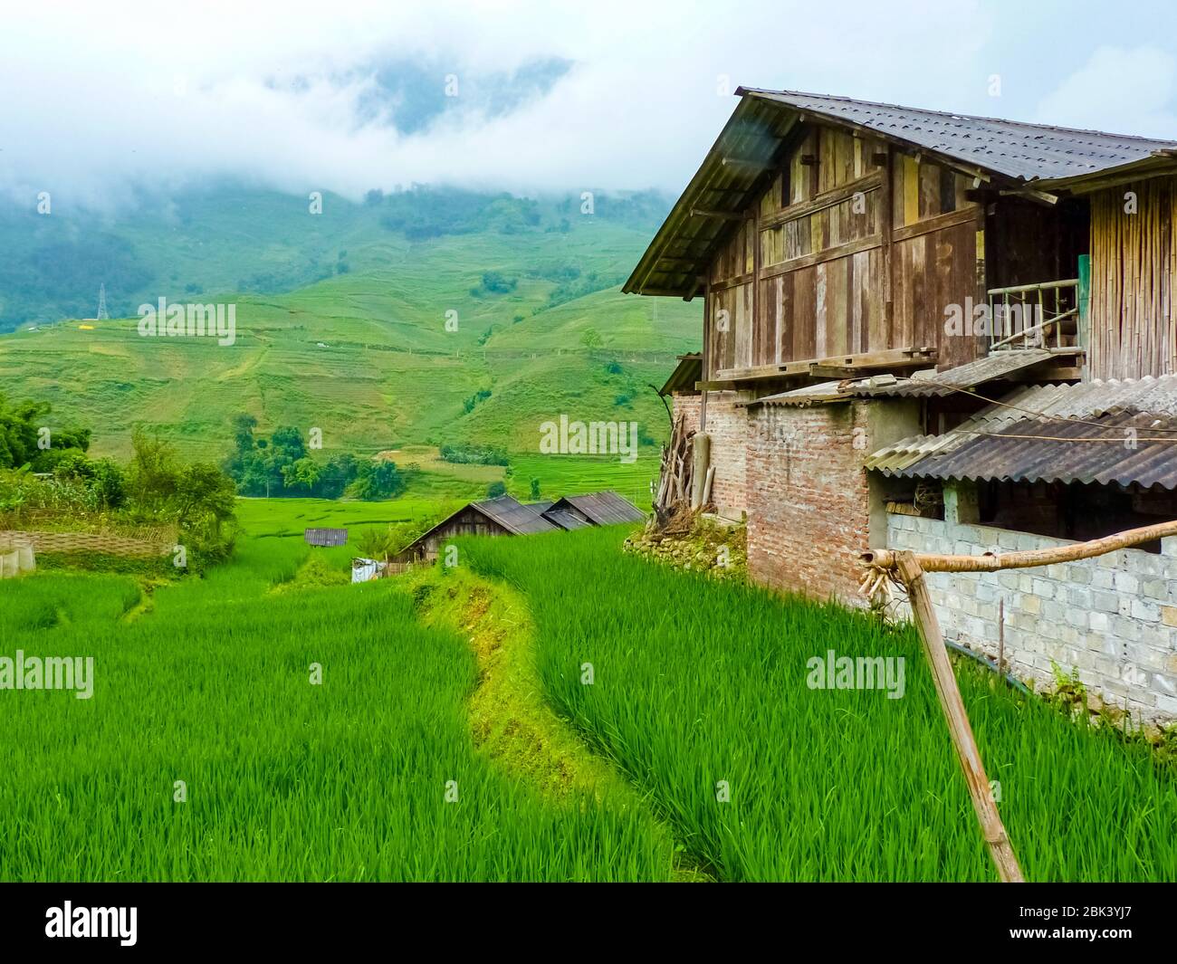 Lào Cai rice fields near Sapa (Chapa) in north mountains of Vietnam ...