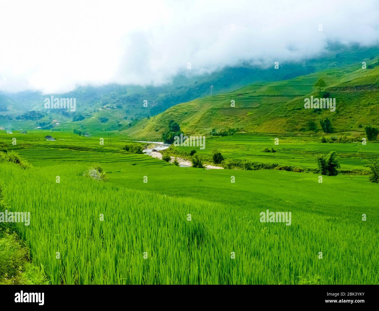 Lào Cai rice fields near Sapa (Chapa) in north mountains of Vietnam ...