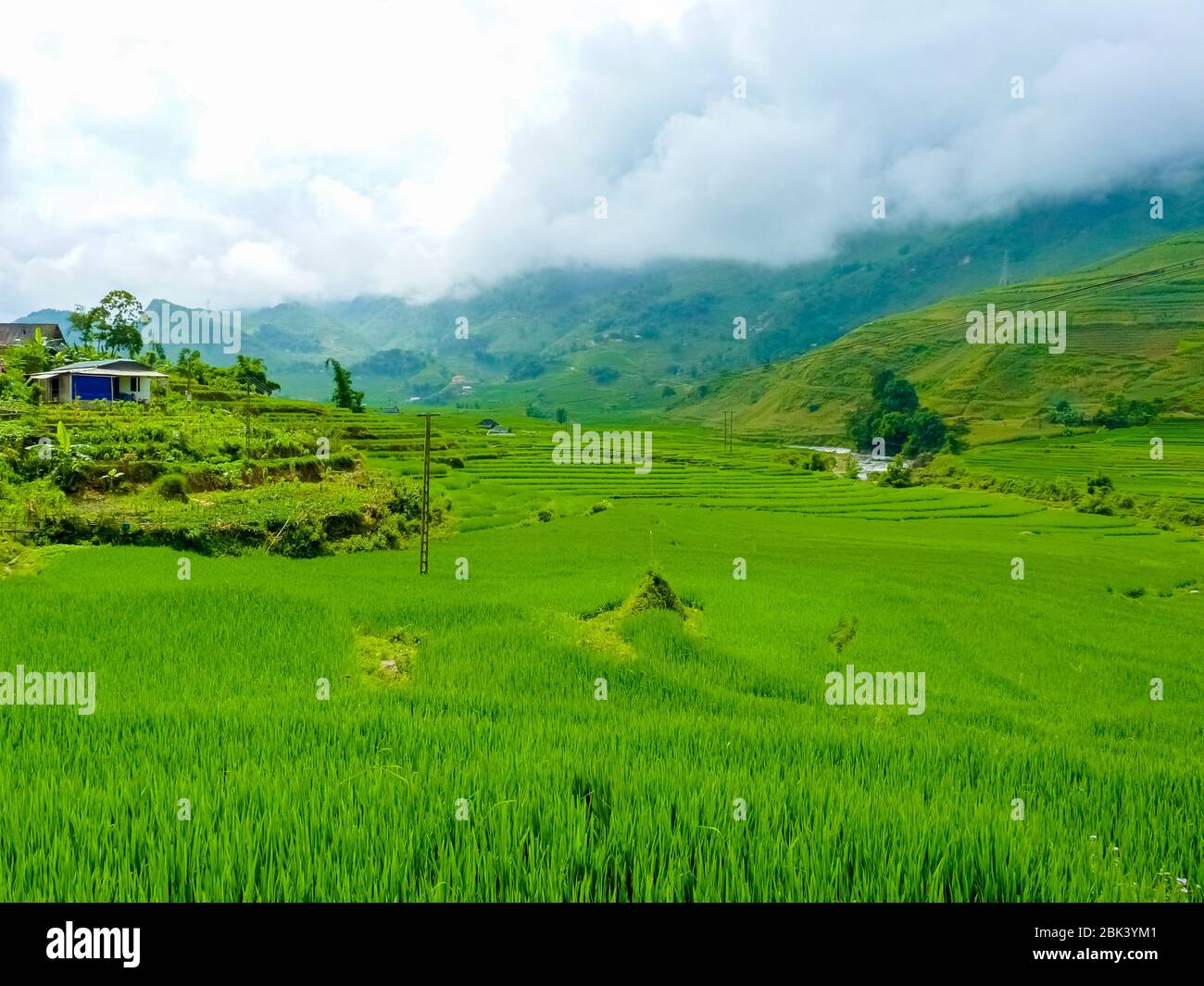Lào Cai rice fields near Sapa (Chapa) in north mountains of Vietnam ...