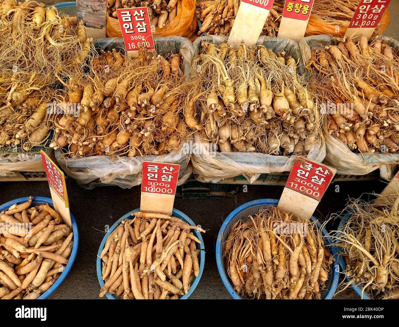 Red Ginseng High Resolution Stock Photography and Images Alamy