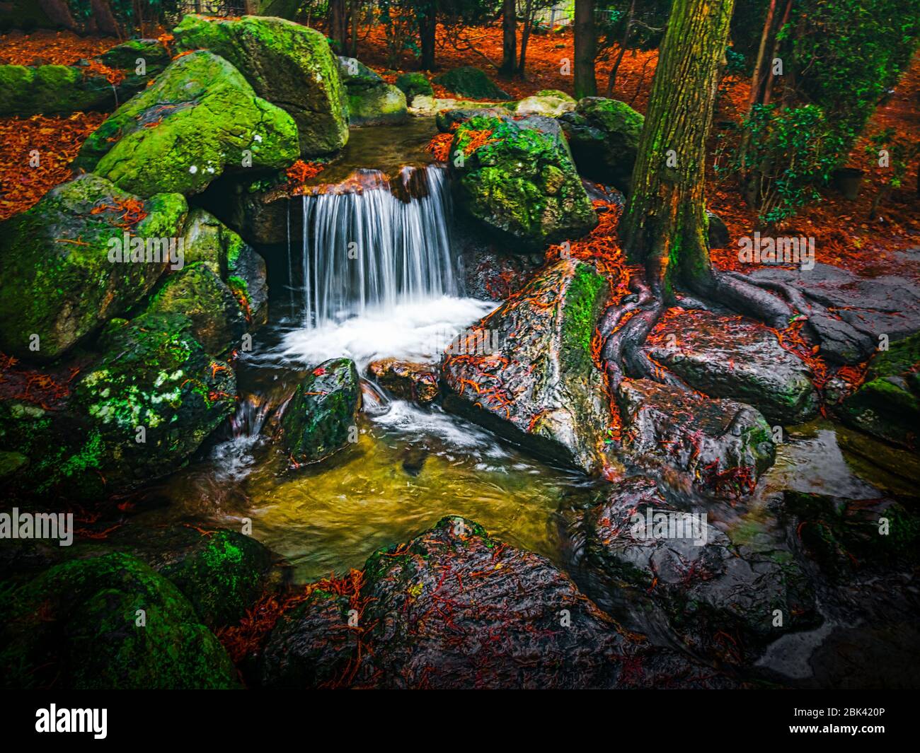 Small Nice Waterfall With Blurry Water Surrounded By The Mossy Boulders Landscape Design Of Japanese Garden Beautiful Landscaping With Small Pond And Waterfall Stock Photo Alamy