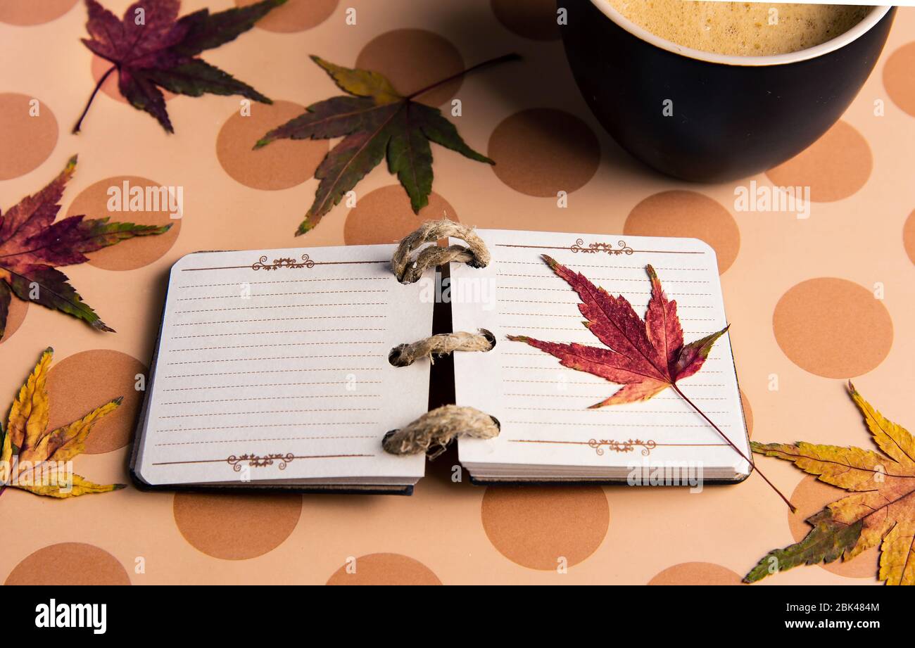 Small notebook and fallen autumn leafs on a table Stock Photo