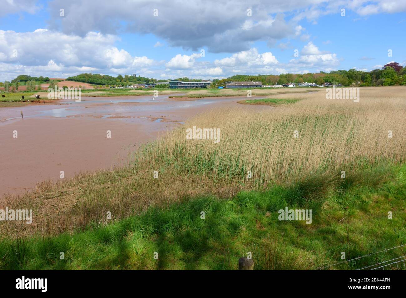 River Clyst at Topsham, view towards Dart's farm, Devon, England, UK Stock Photo