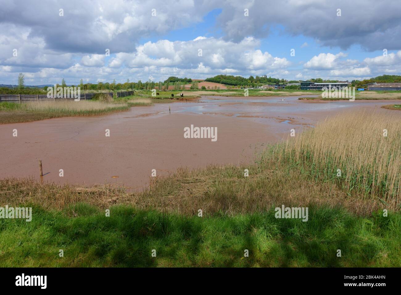 River Clyst at Topsham, view towards Dart's farm, Devon, England, UK Stock Photo
