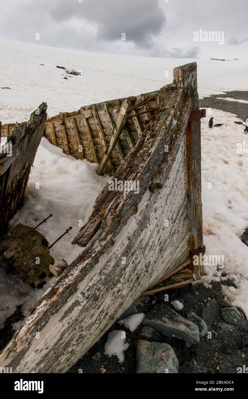 Remains of a wooden whaling boat on the beach of Halfmoon Island, South ...