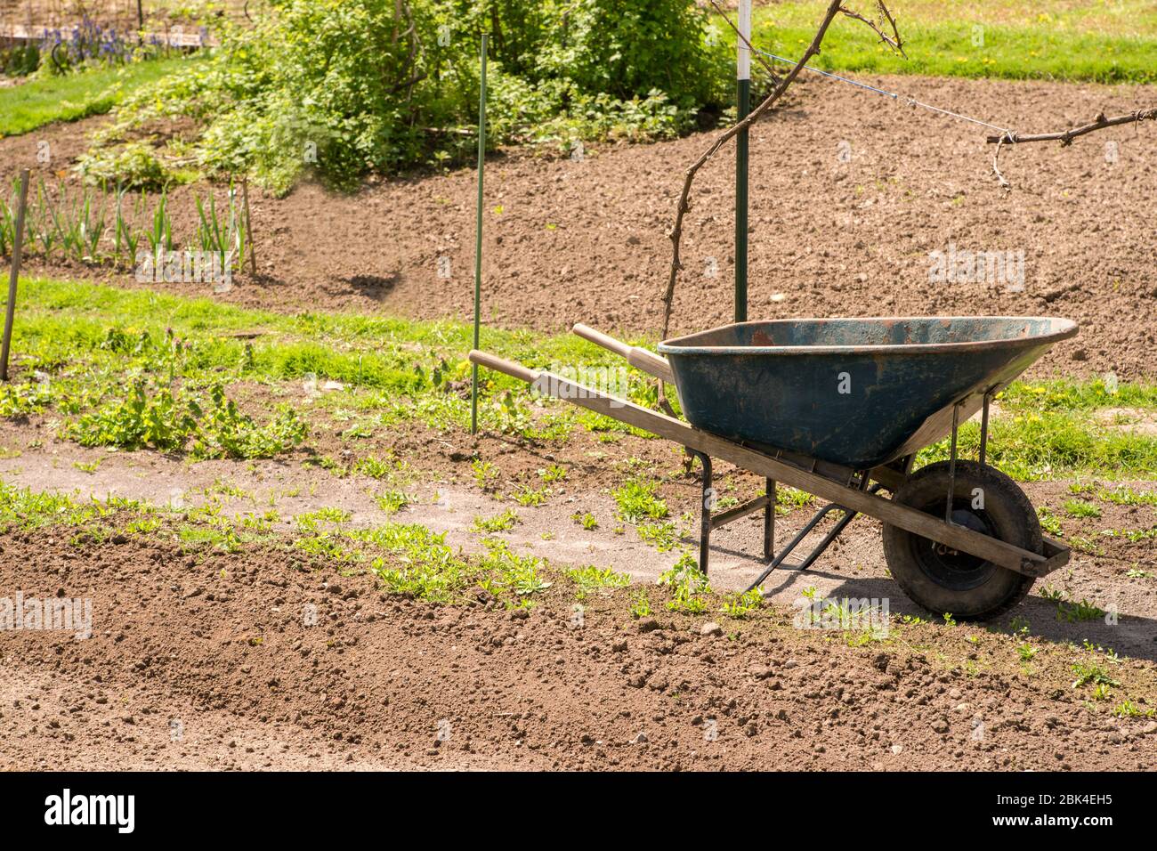 Wheelbarrow vegetable garden gardening hires stock photography and