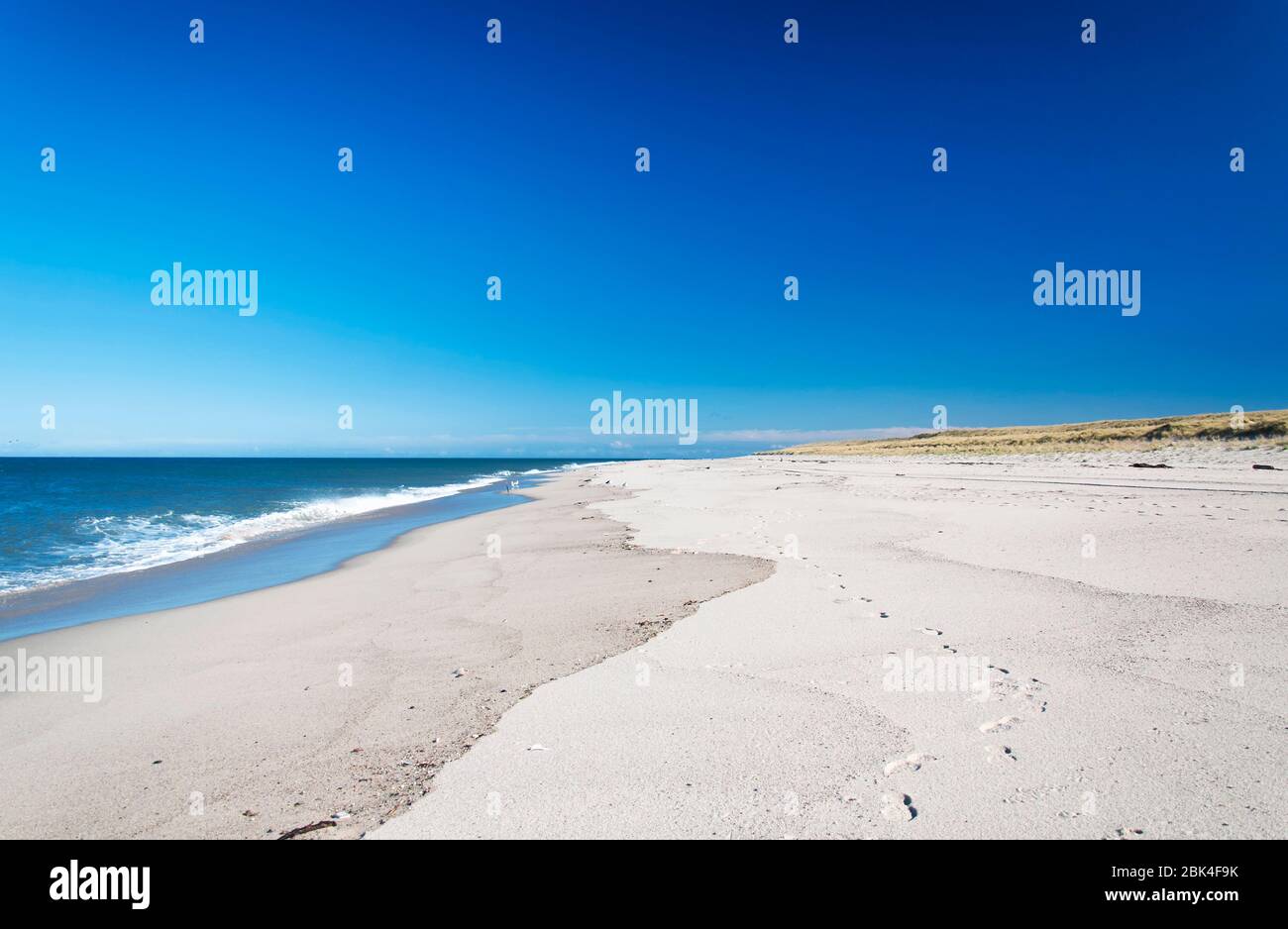 An empty beach landscape on the national seashore in Cape Cod Massachusetts on sunny blue sky day. Stock Photo