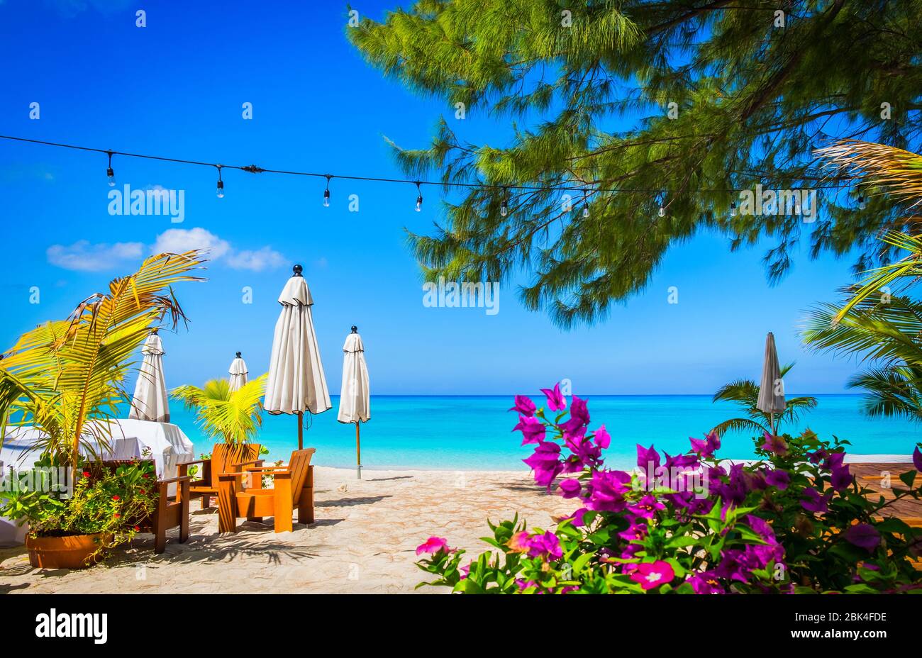 Small palm tree flowers and closed parasols on an empty Seven Mile Beach during confinement, Cayman Islands Stock Photo