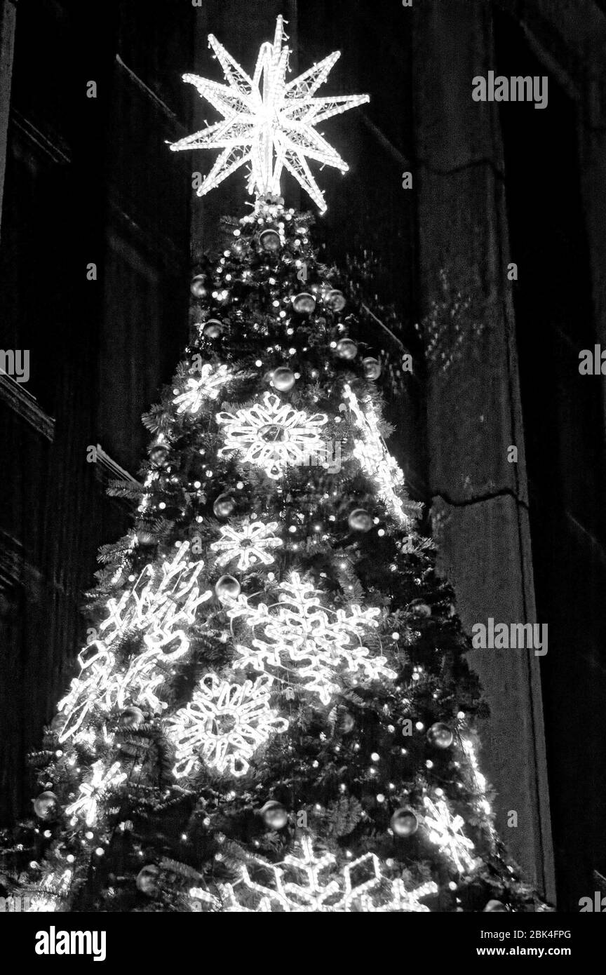 Photo Christmas tree, New year, christmas, new year tree,Christmas