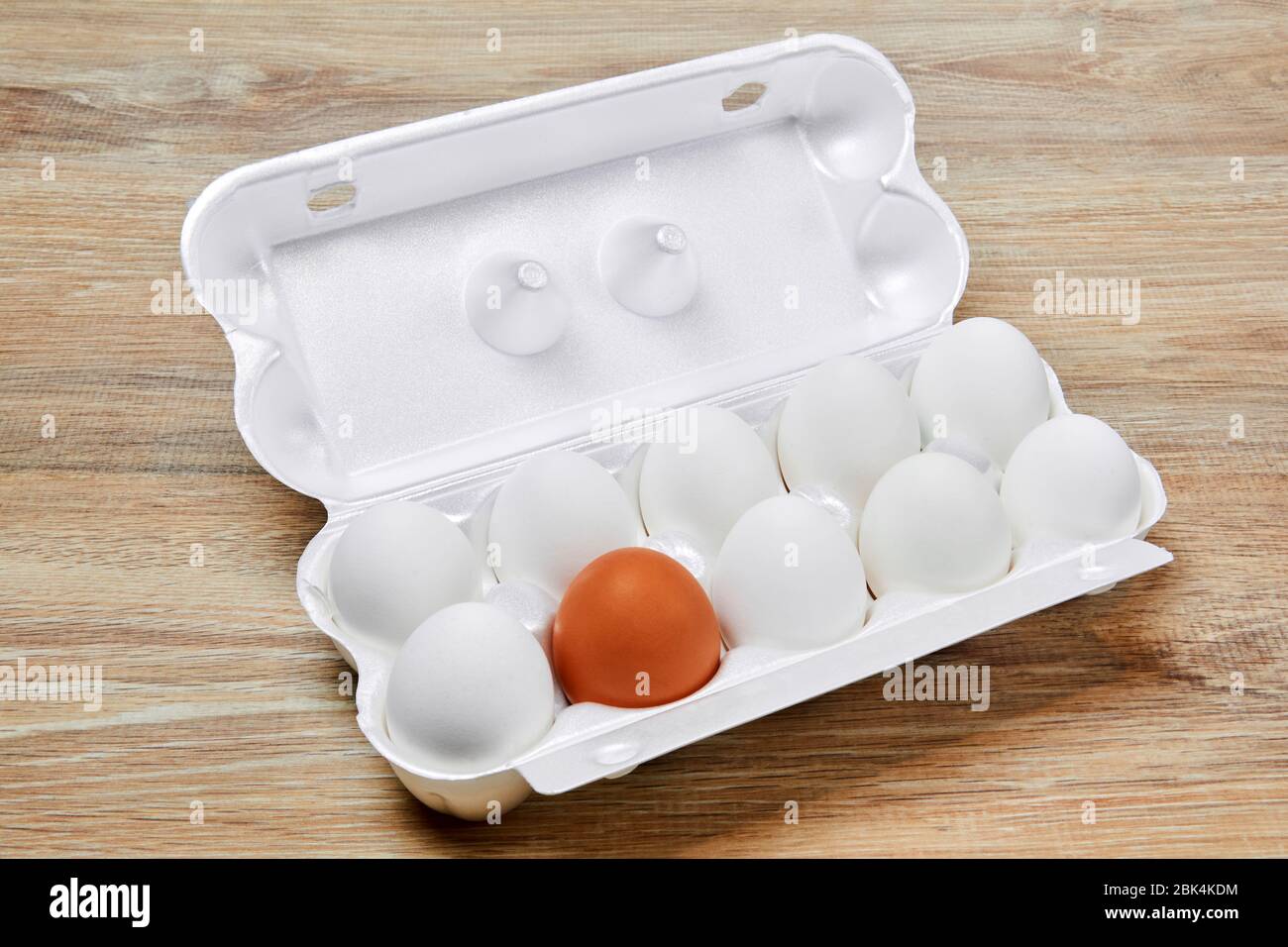 nine white eggs and one brown are packed together in one egg crate, isolated on a white background Stock Photo